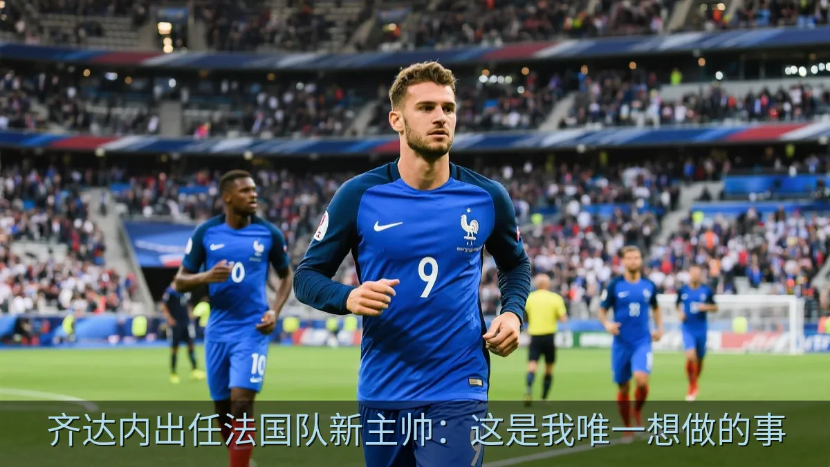 法国国家队在球场上比赛