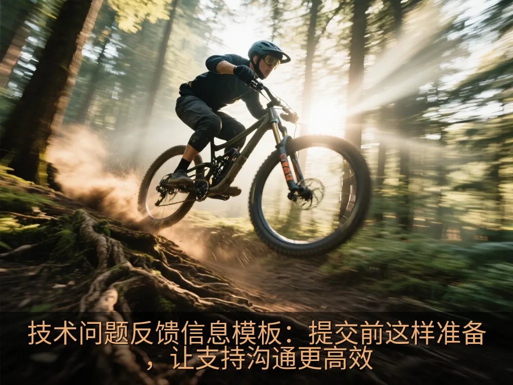 经过隐私遮盖的应用异常截图与反馈清单示意